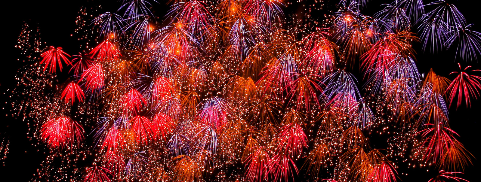 サマーナイト花火